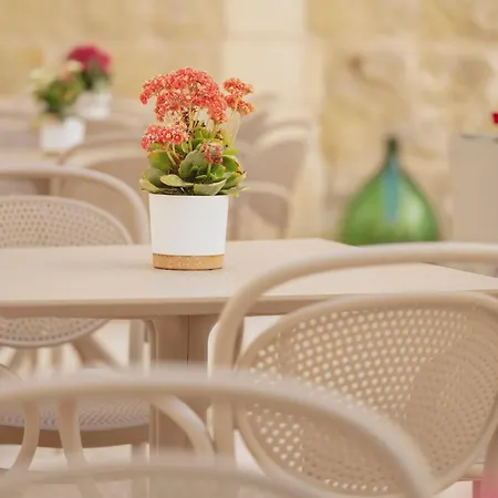 Maria Rosa Couette-café Victoria